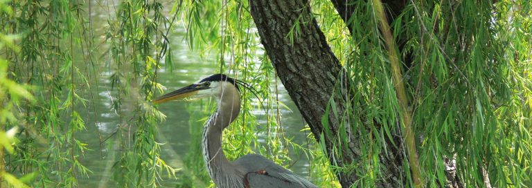 Enviromental_Excellence