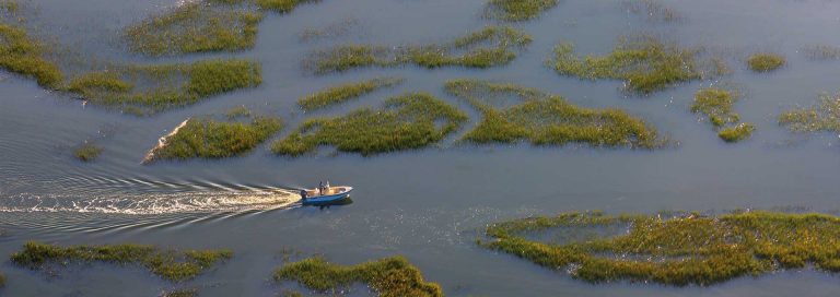 A-Community-For-Now-and-To-Come