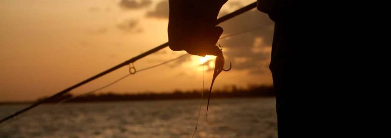 Fishing_In_SC