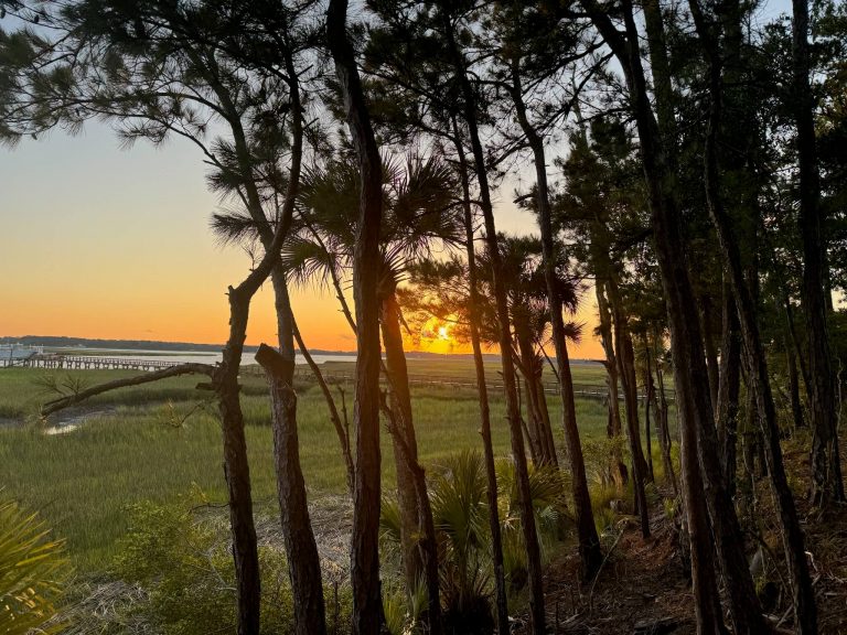 IMG_9249 Lynnette Sefcik