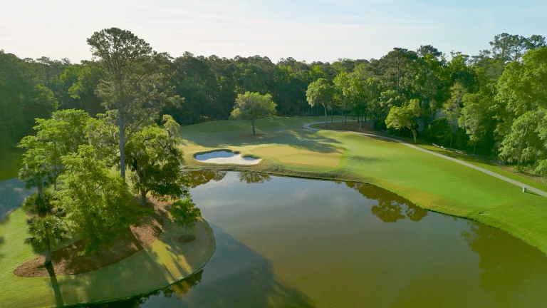 dogwood_himg - Edited